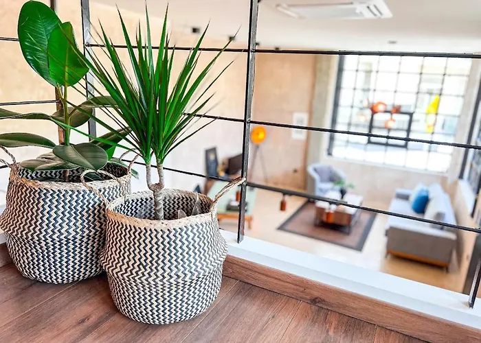 Appartement Mini Loft
